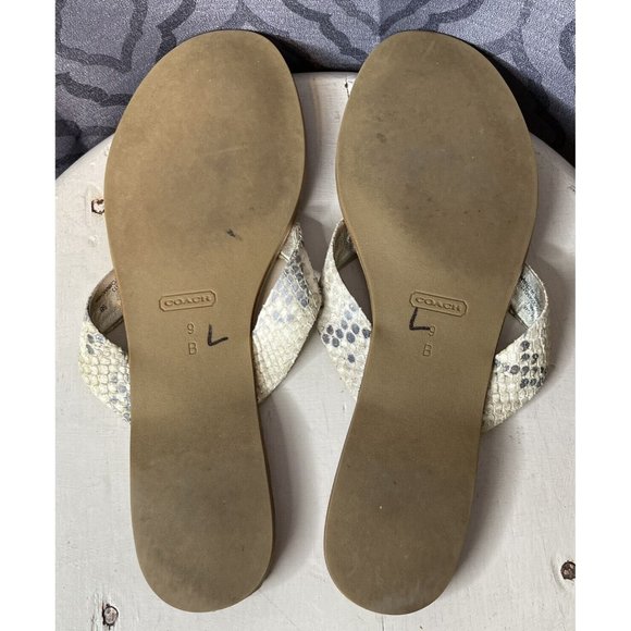 Coach Flip Flops Womens 9 B Sable Metallic Snake Skin Signature Sandal - Picture 6 of 8